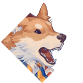 犬神